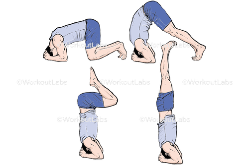 workout 31642.png