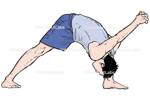 workout 27230.png
