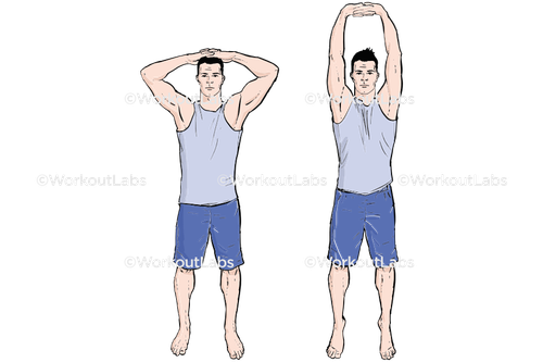 workout 31958.png