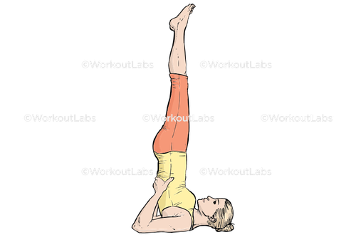 workout 13049.png