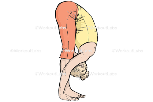 workout 13037.png
