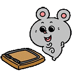 IMG 5888.gif