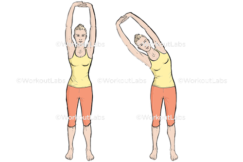 workout 32512.png