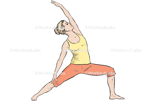 workout 13633.png