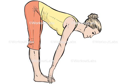 workout 17927.png