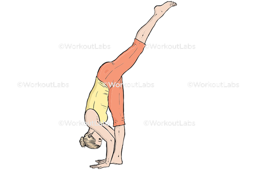 workout 13645.png