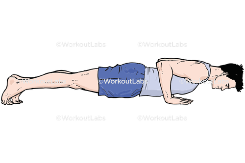 workout 13595.png
