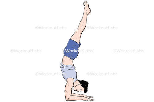 workout 13592.png