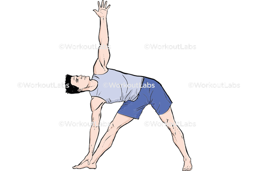 workout 13015.png