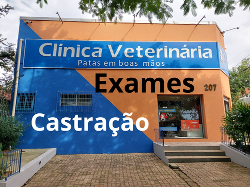 minha foto.png