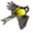 greattit (1).png