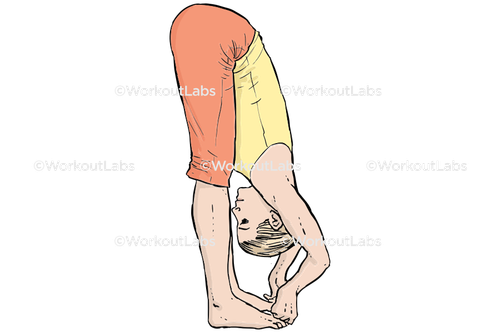 workout 27240.png
