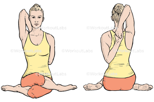 workout 31332.png