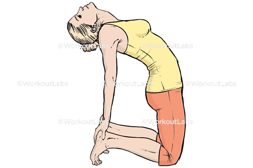 workout 13074.png