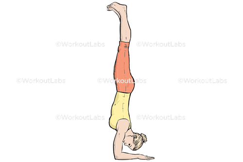 workout 13593.png