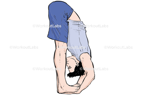 workout 13677.png