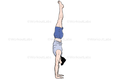 workout 13598.png