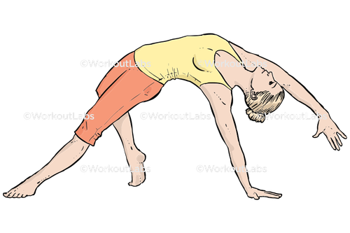 workout 13660.png