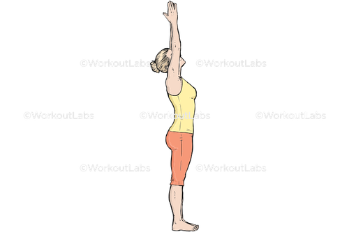 workout 13651.png