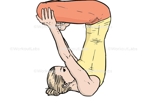 workout 27293.png