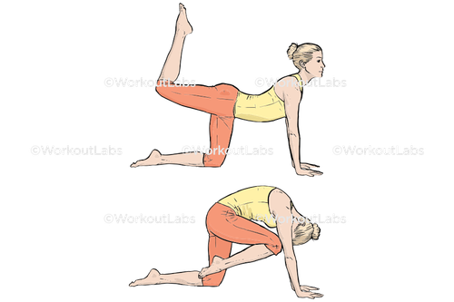 workout 32616.png