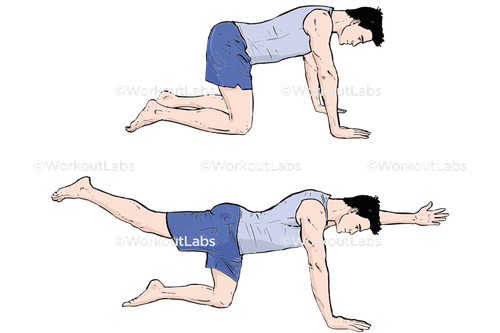 workout 60513.png