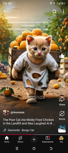 Screenshot 20250203 143045.png