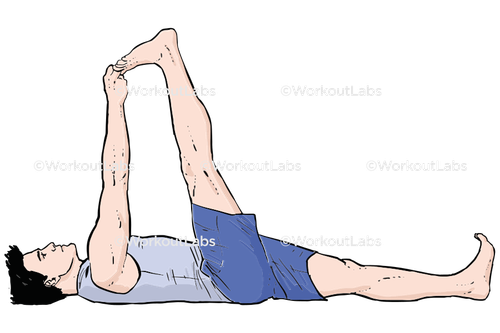 workout 17956.png