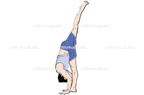 workout 13644.png
