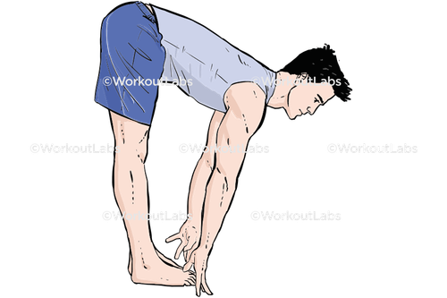 workout 17926.png