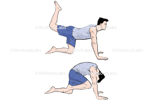 workout 32614.png