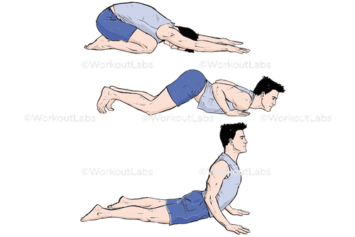 workout 32482.png