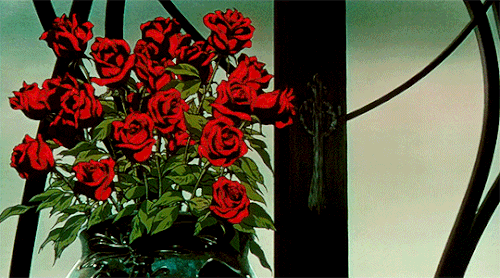 hunter d roses gif.gif