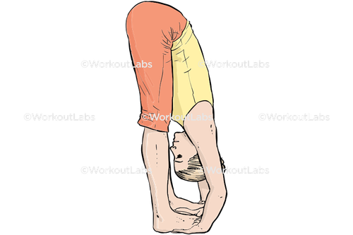 workout 13678.png