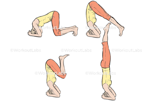 workout 31644.png