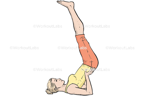 workout 27225.png
