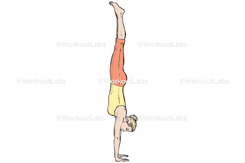 workout 13599.png