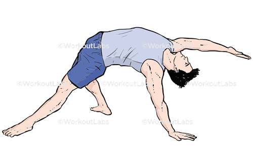 workout 13659.png
