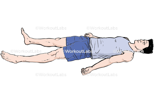workout 13123.png