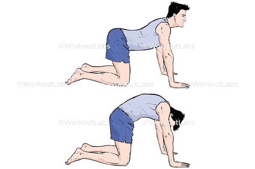 workout 31302.png