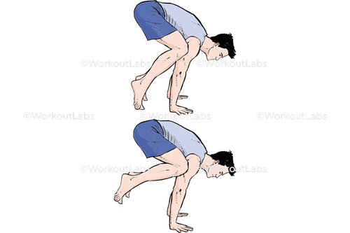 workout 31342.png