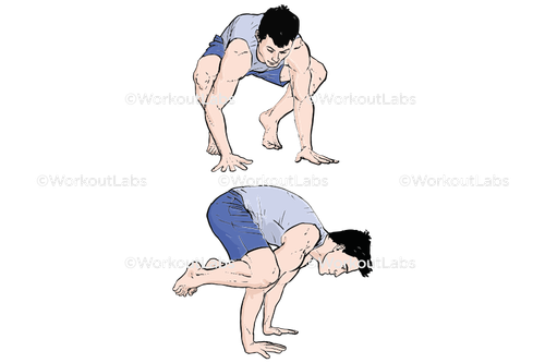 workout 31354.png