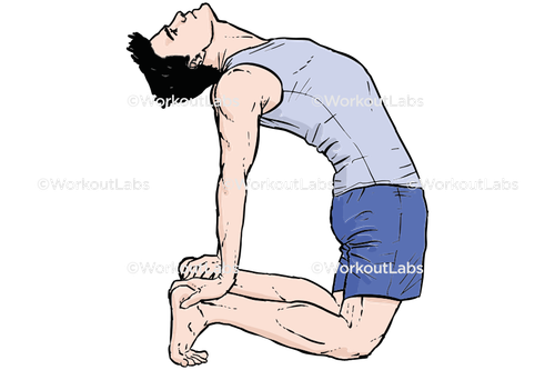 workout 13073.png