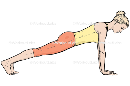 workout 13626.png