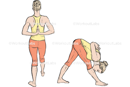 workout 32036.png
