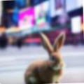 7752cdc0825e.png