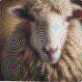 0149b3c9e52d.png