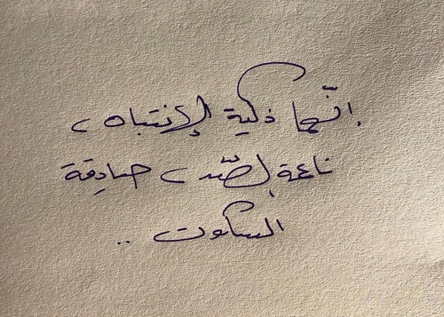 hxi5 s 20250122 0003.jpg