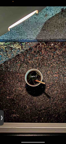 B22BD358 ED3F 44D8 B367 113C414EB76C.jpg