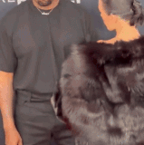 ssstwitter.com 1738539363478 ezgif.com video to gif converter.gif